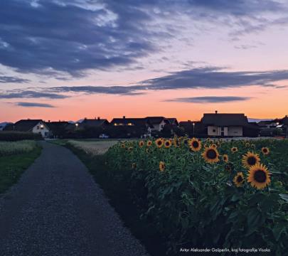 September - Aleksander Gašperlin